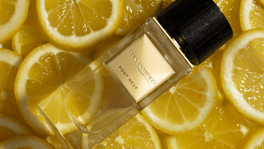 The Inspiration Behind Pont Neuf